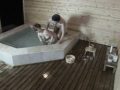 G県山○温泉の貸切り露天風呂を利用するカップルたちは超大胆にチ○ポしゃぶってハメ放題！生々しく卑猥なので従業員から買い取って勝手に販売しちゃいます。